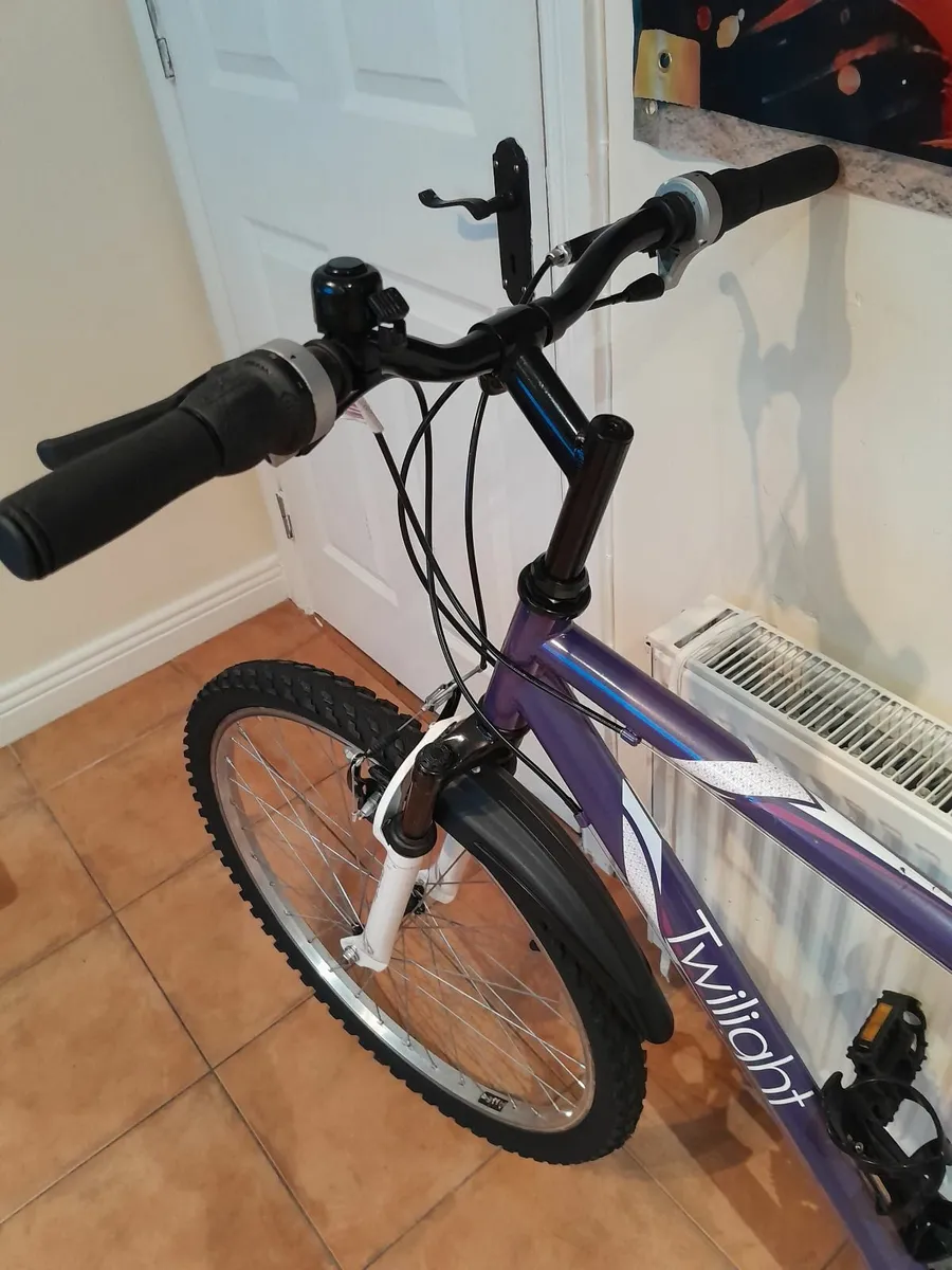 Bicycle - Image 4