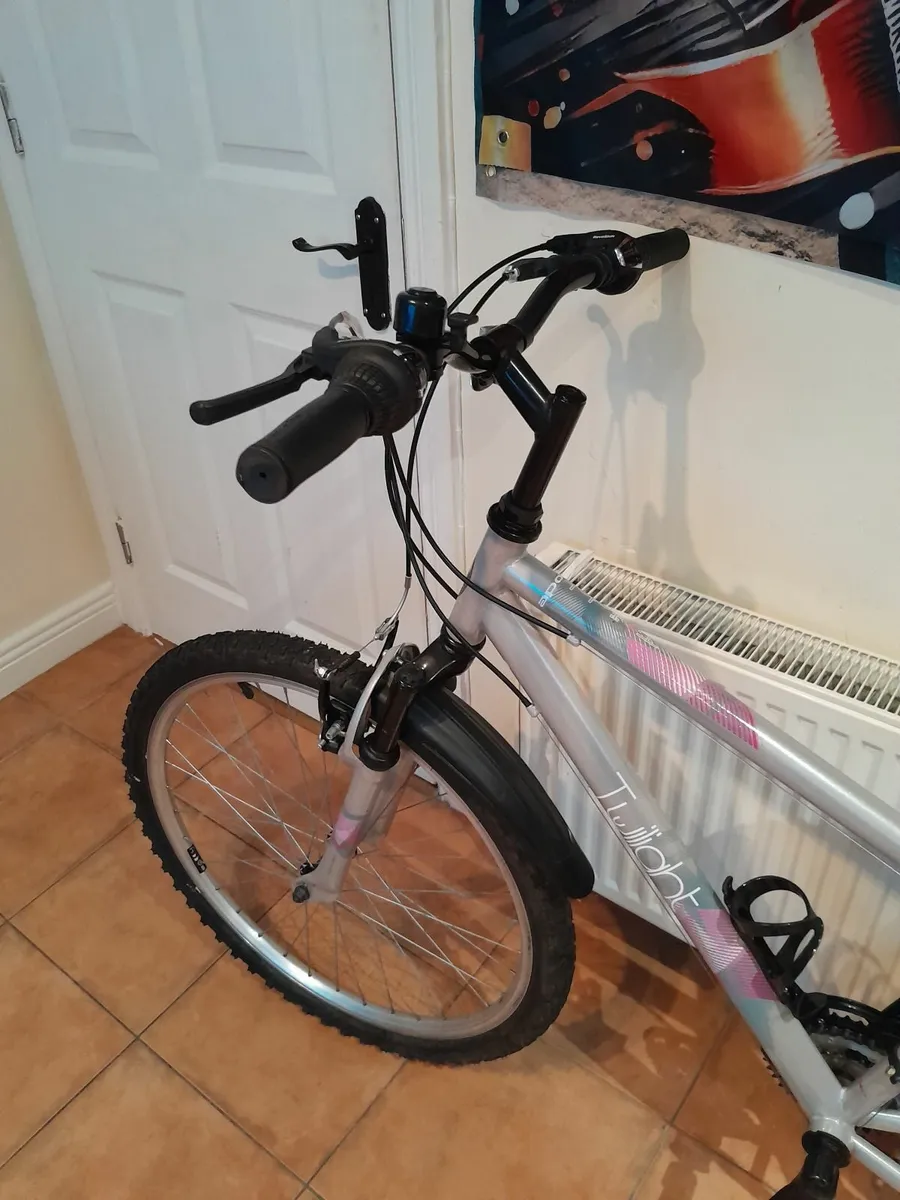 Bicycle - Image 2