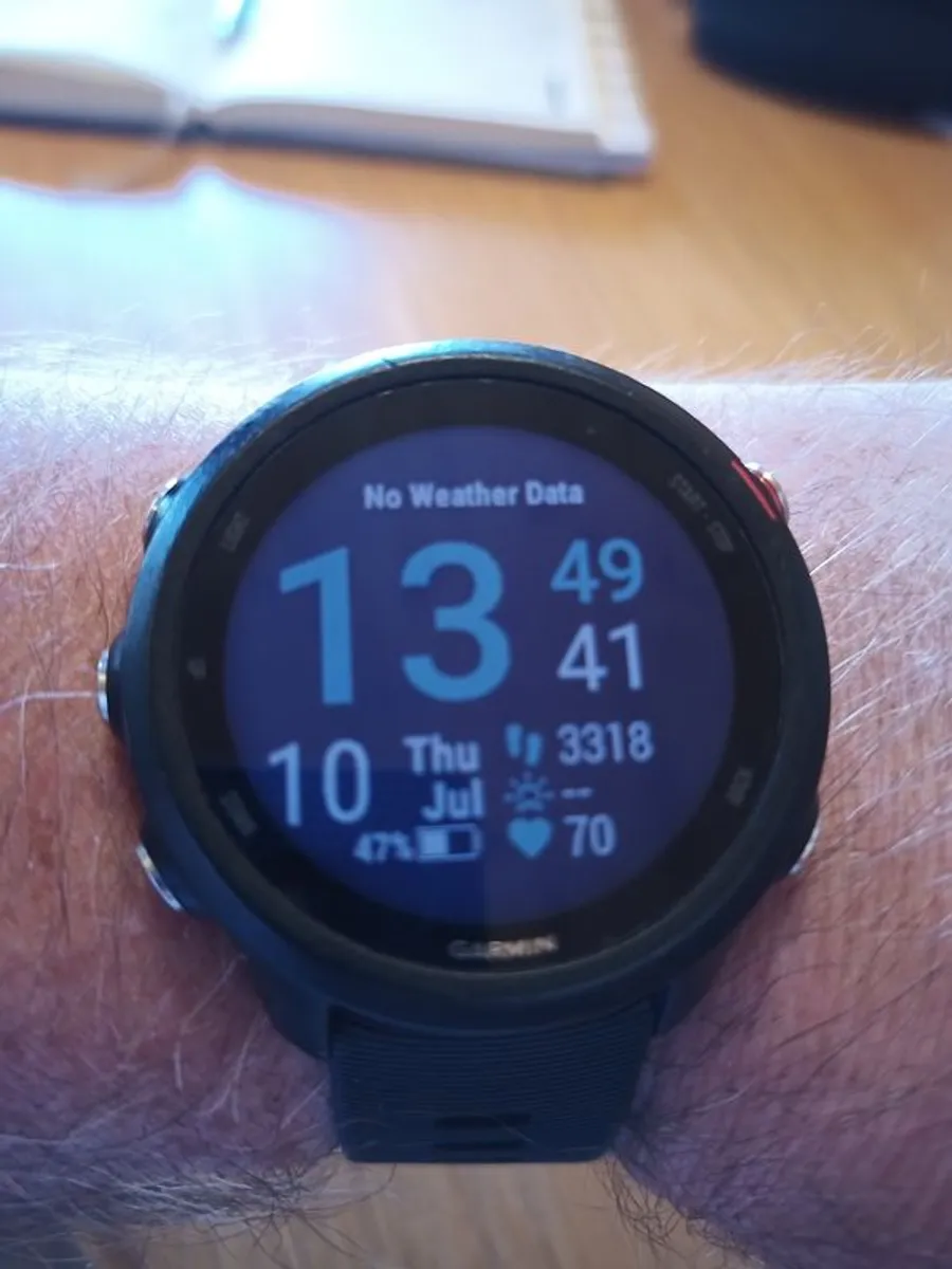 GARMIN Forerunner 245 Music - Image 2