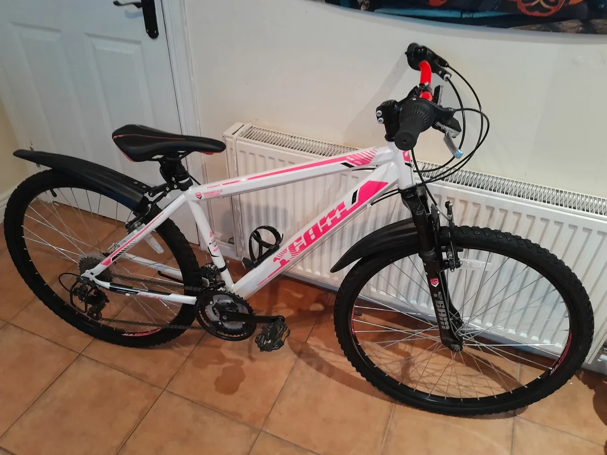 Bicycle - Image 4