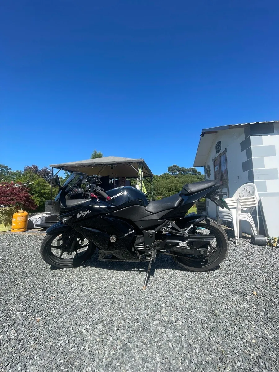 Ninja 250 - Image 2