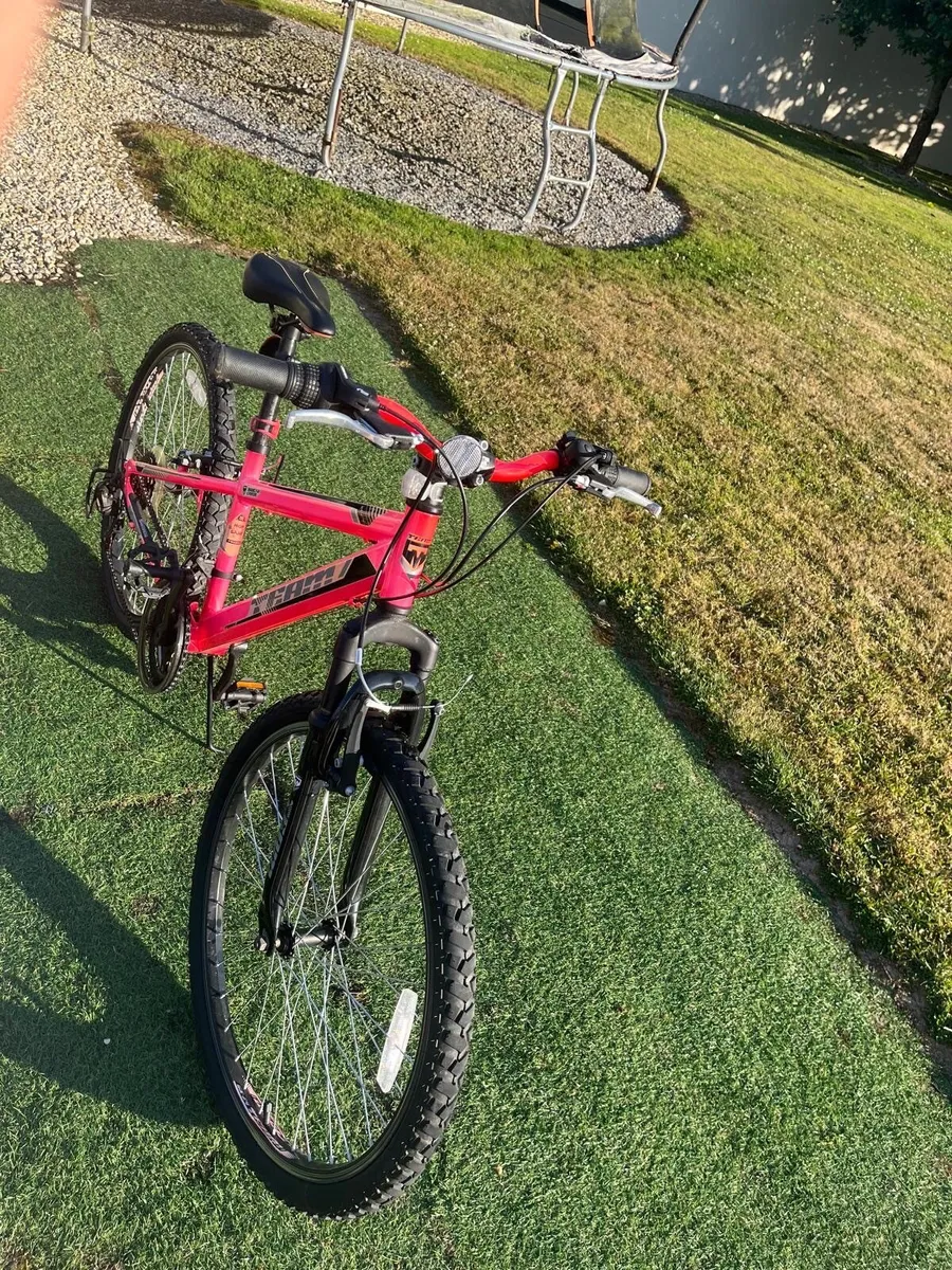 Bikes - Image 1