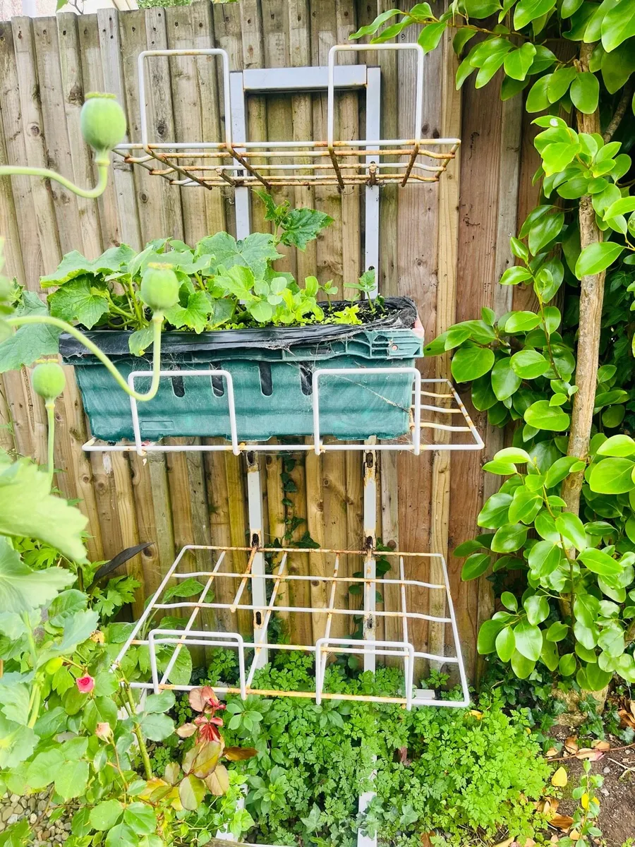 Metal Plants stand - Image 2