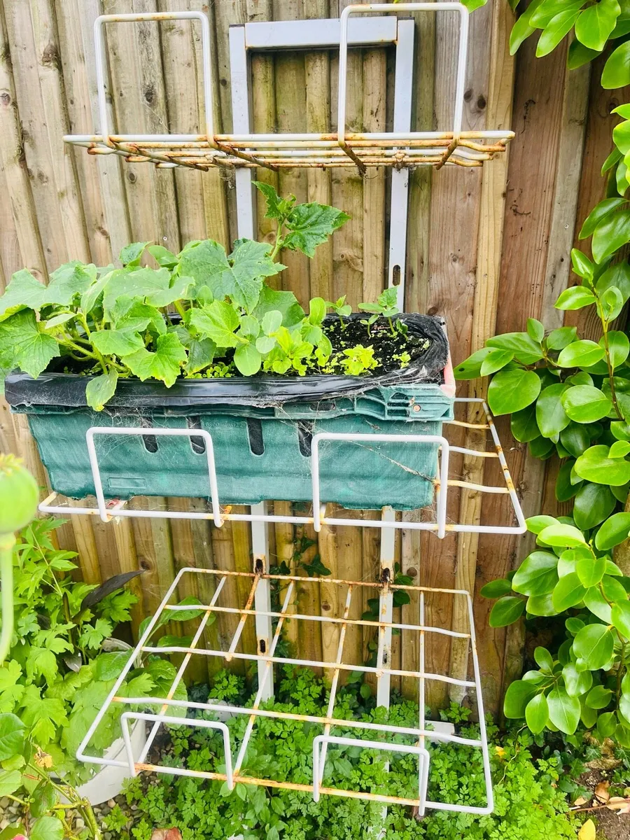 Metal Plants stand - Image 3