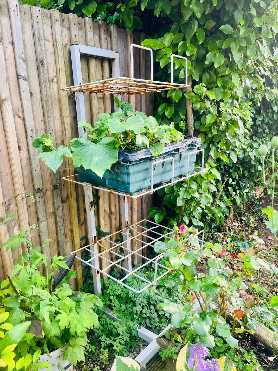 Metal Plants stand - Image 4