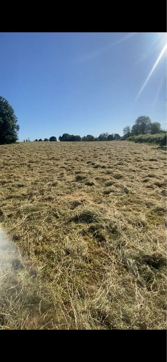 Hay Bales