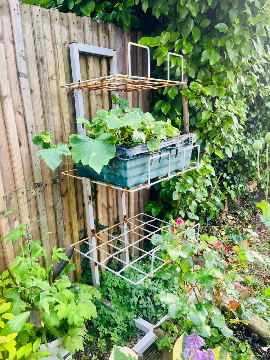 Metal Plants stand - Image 1