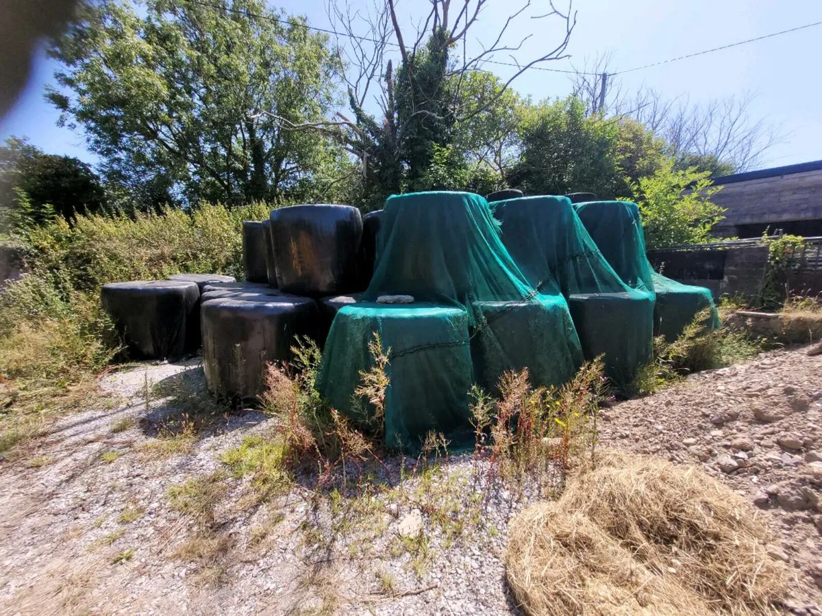 Haylage for horses - Image 2