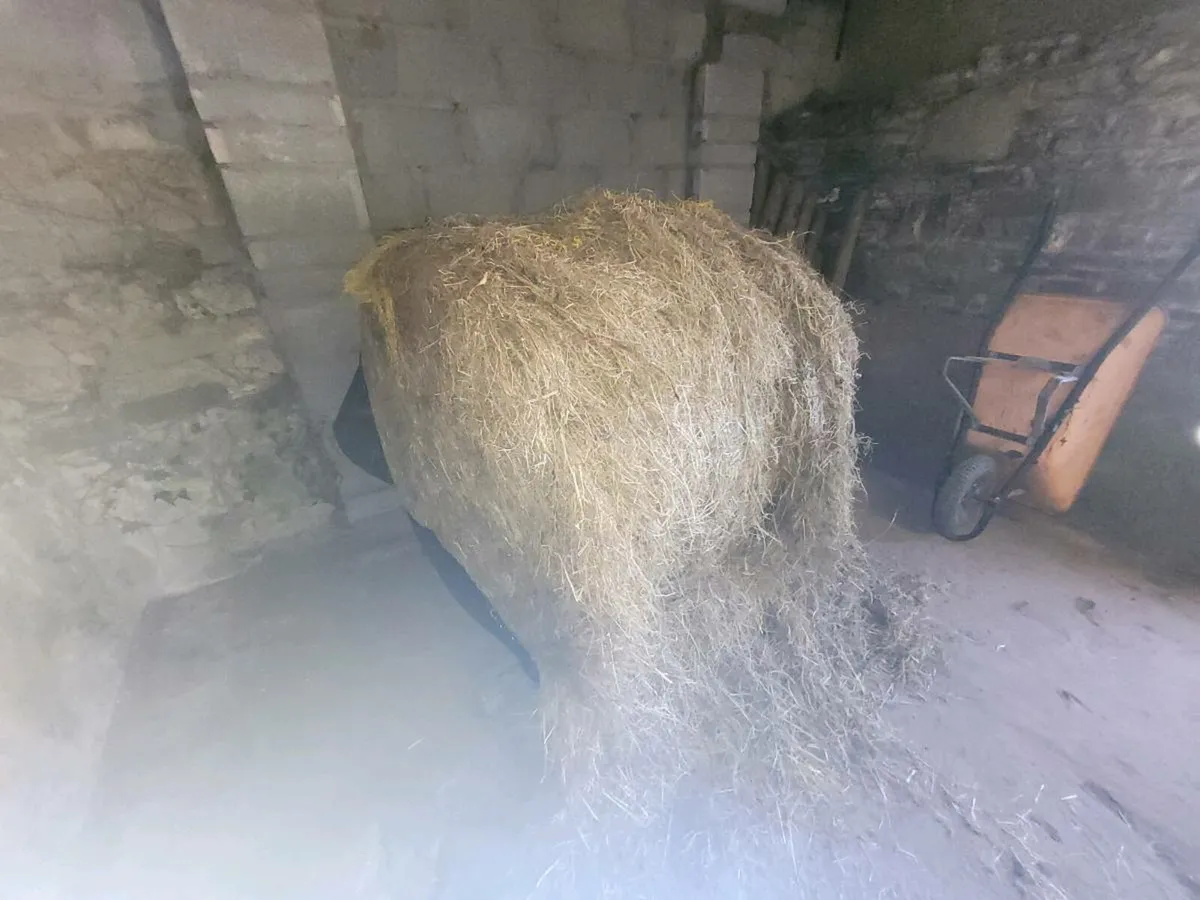 Haylage for horses - Image 3