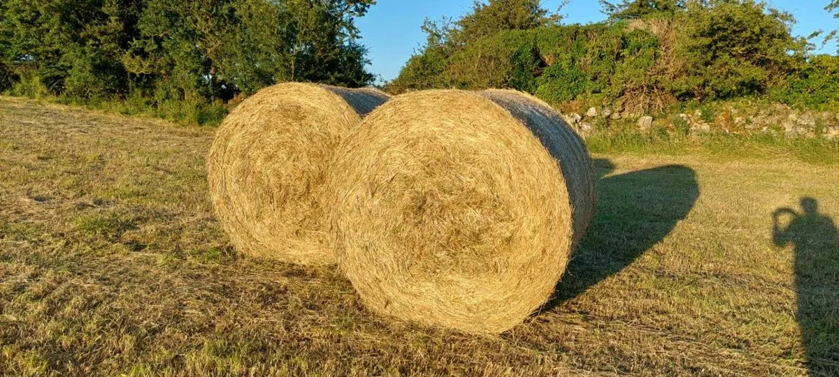Hay Bales - Round - Image 1