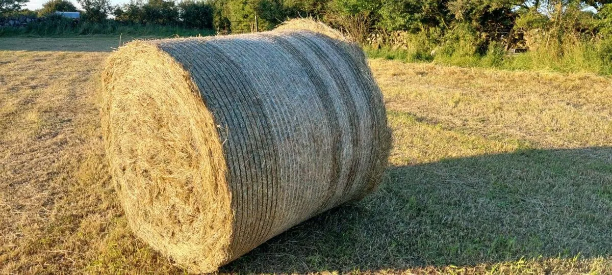 Hay Bales - Round - Image 2