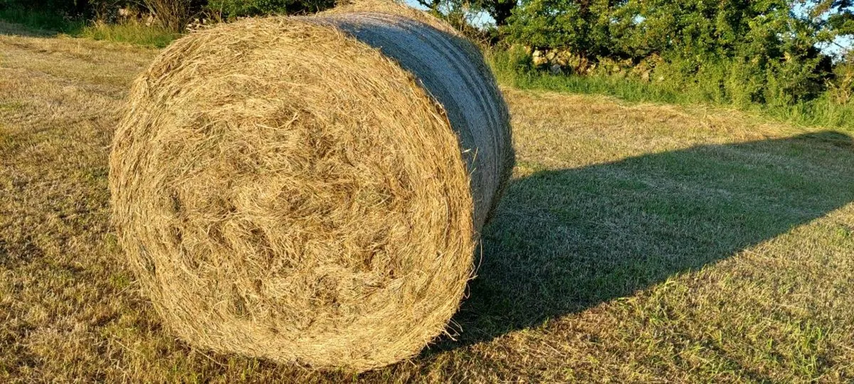 Hay Bales - Round - Image 3