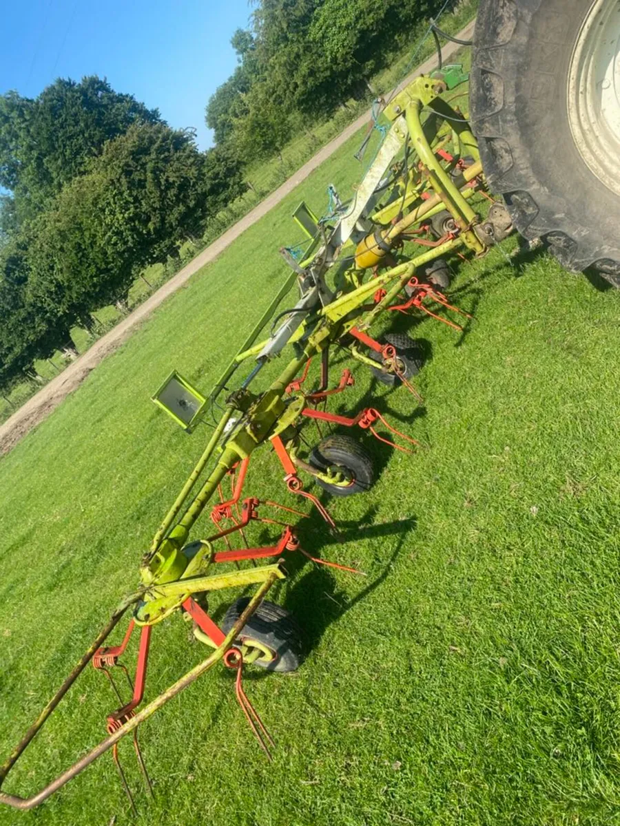Claas Tedder - Image 4