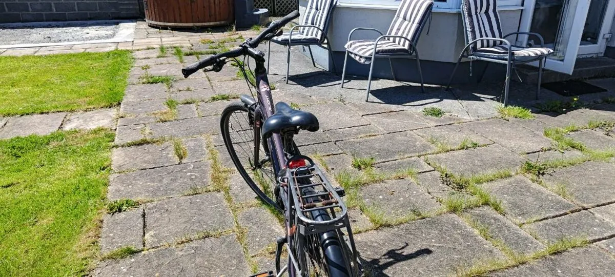 Female bike - Image 1