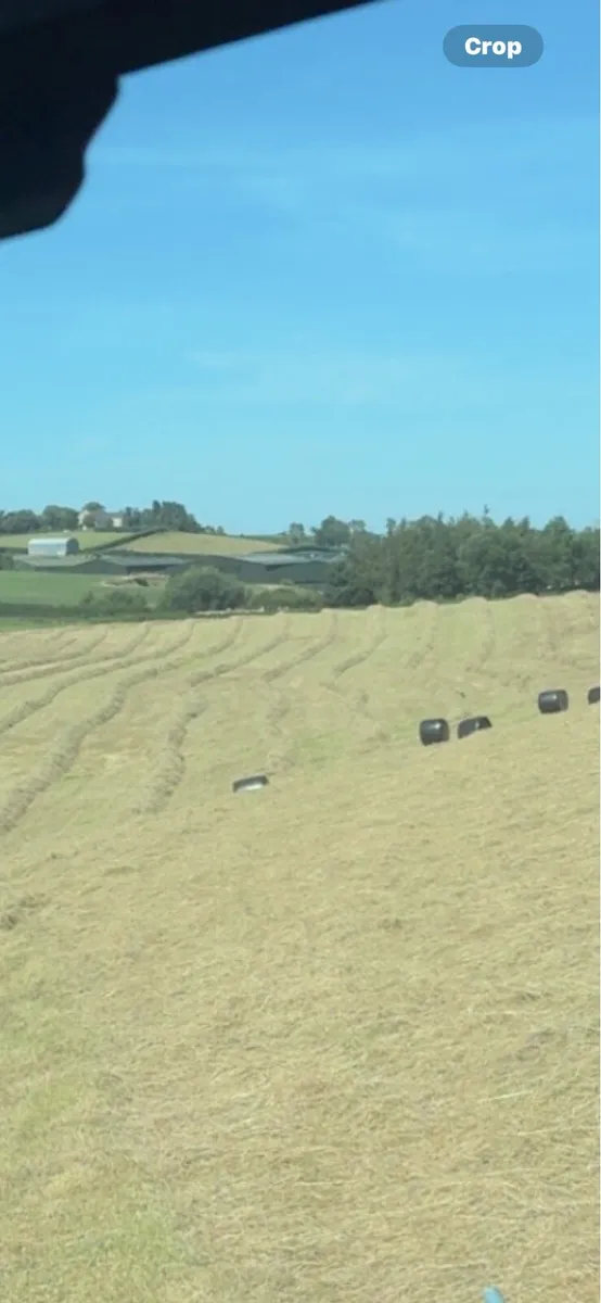 Haylage forsale - Image 1
