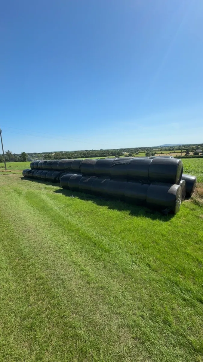 Haylage forsale - Image 3