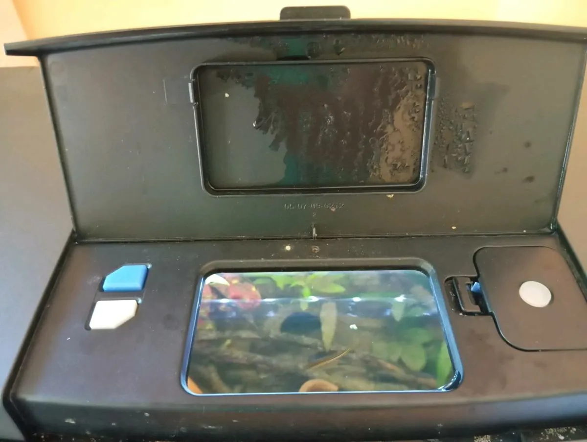 Love Fish. Panorama curved glass aquarium 40L - Image 3