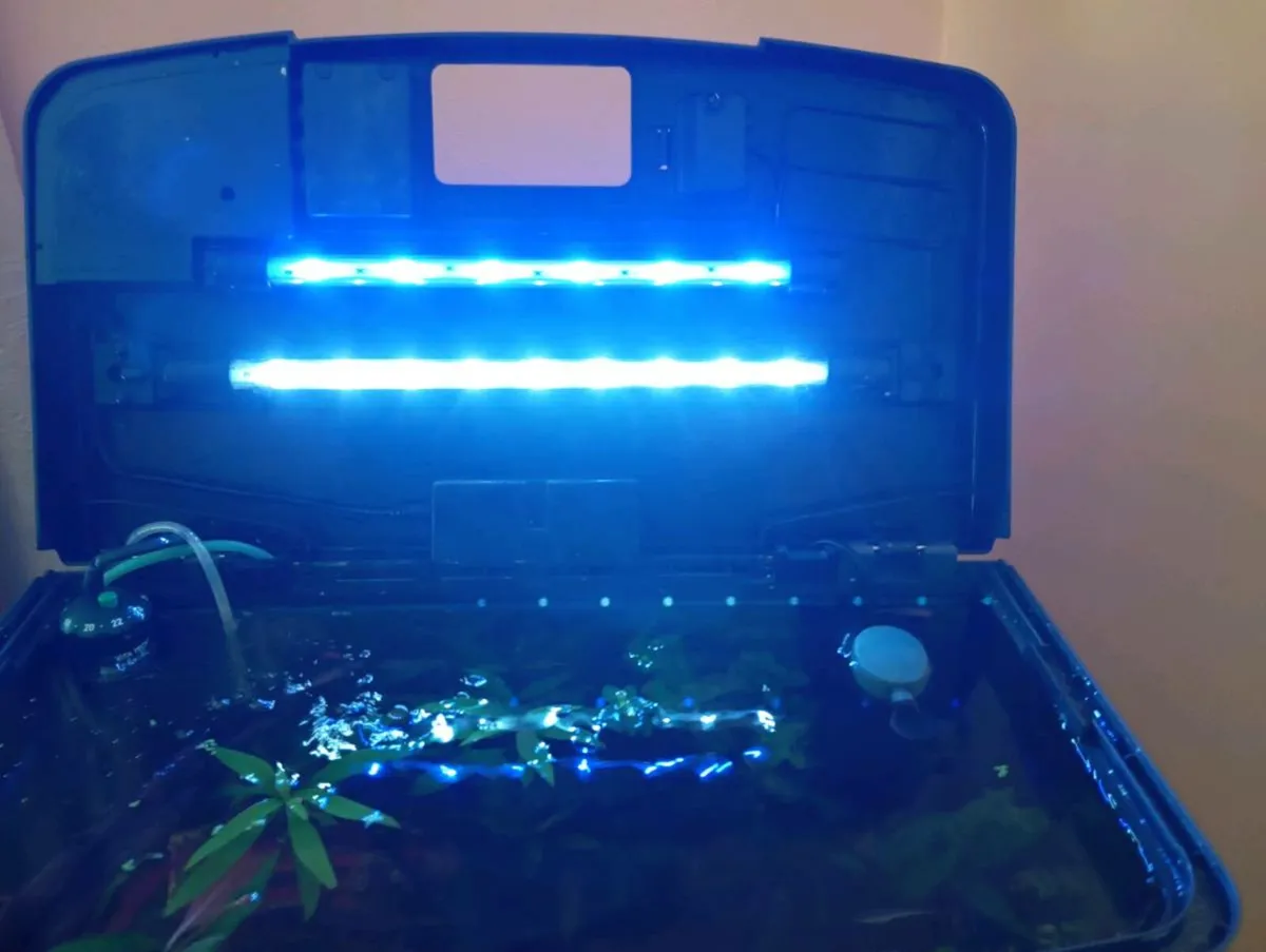 Love Fish. Panorama curved glass aquarium 40L - Image 4