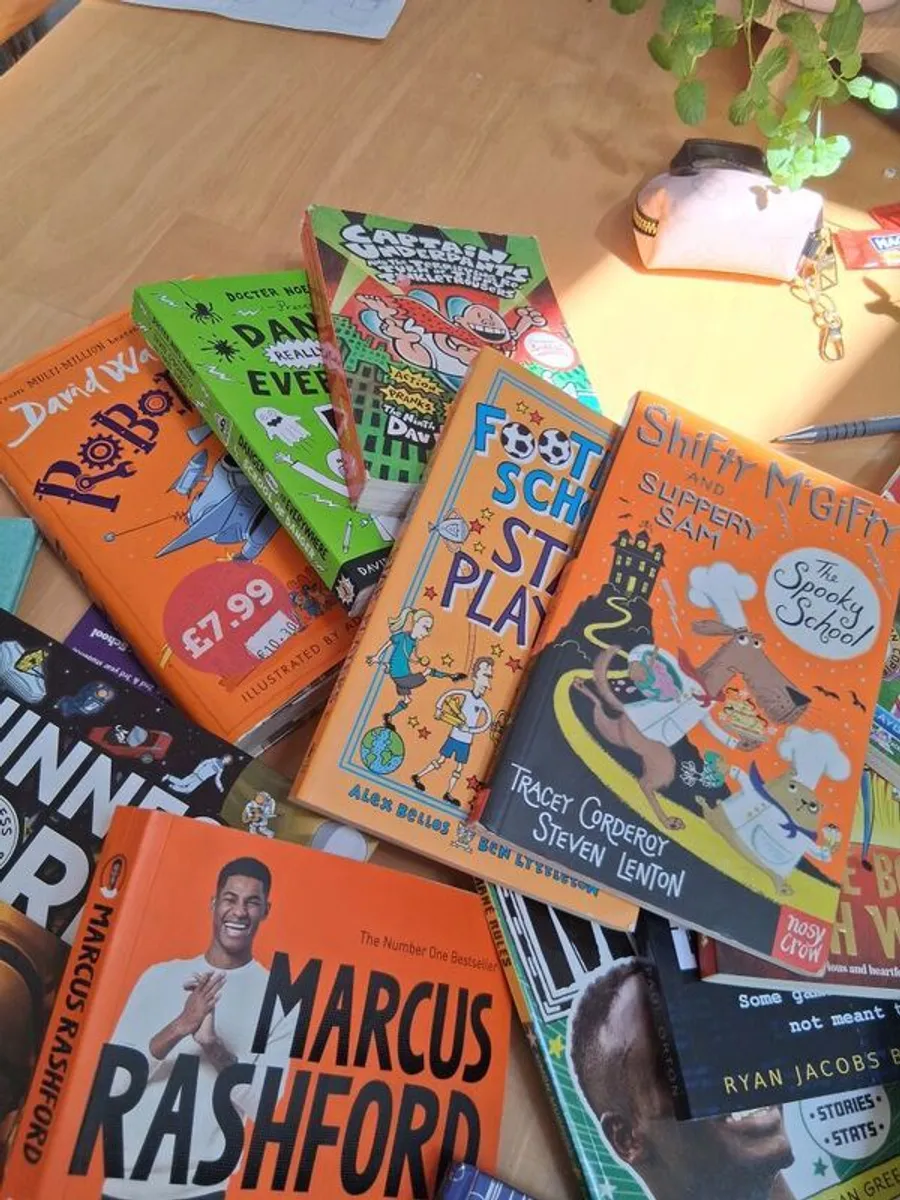 Huge selection of BOYS BOOKS - Image 3