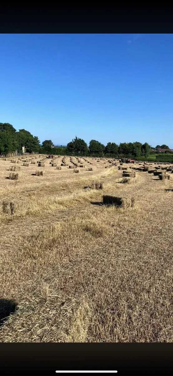 Hay- €2.50 per bale - Image 1