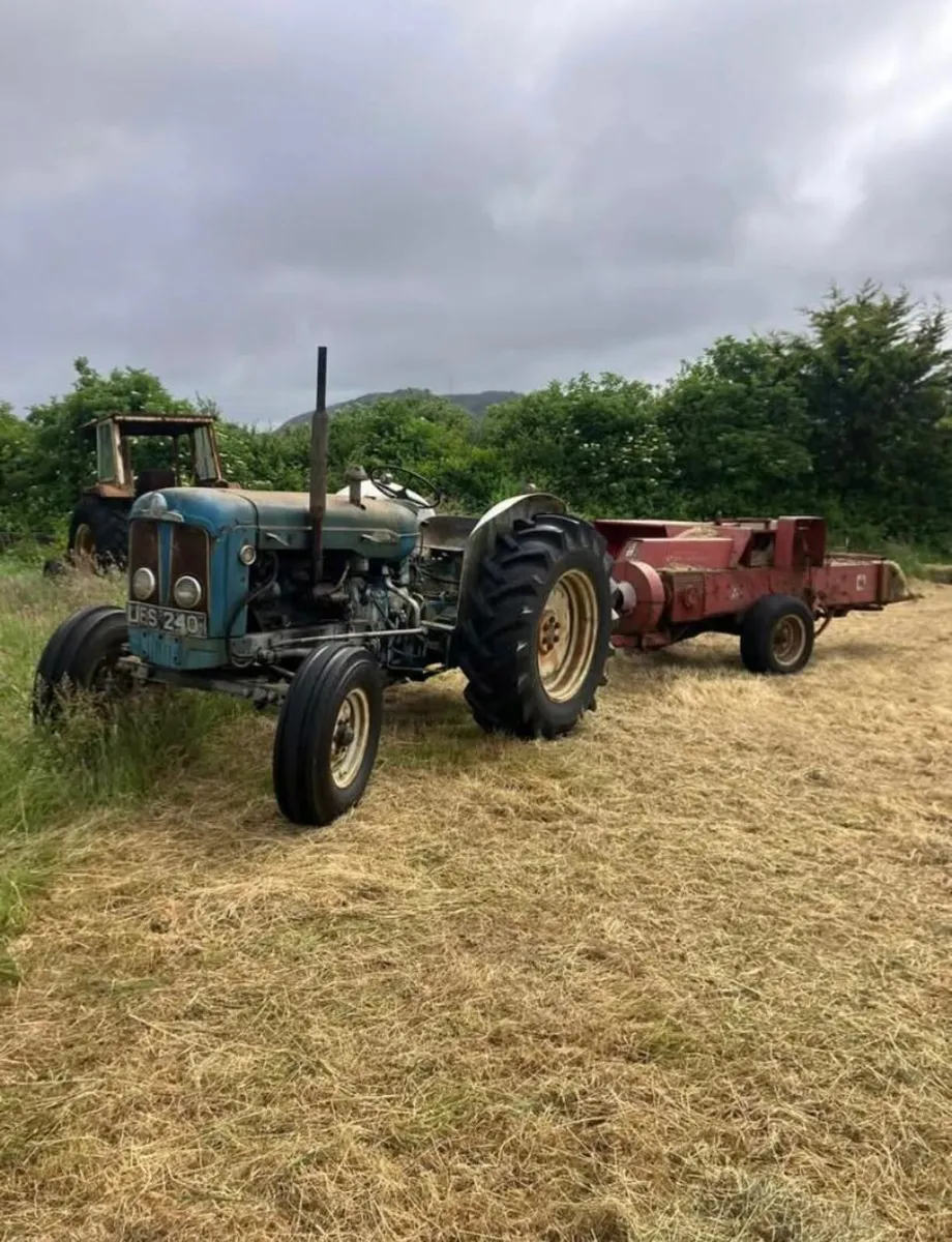 Hay- €2.50 per bale - Image 3