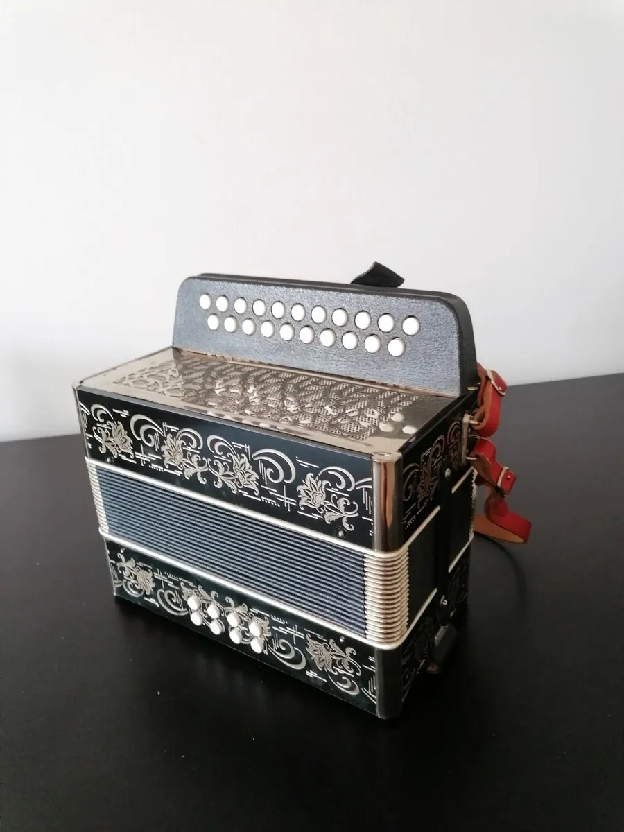 Accordion - Image 3
