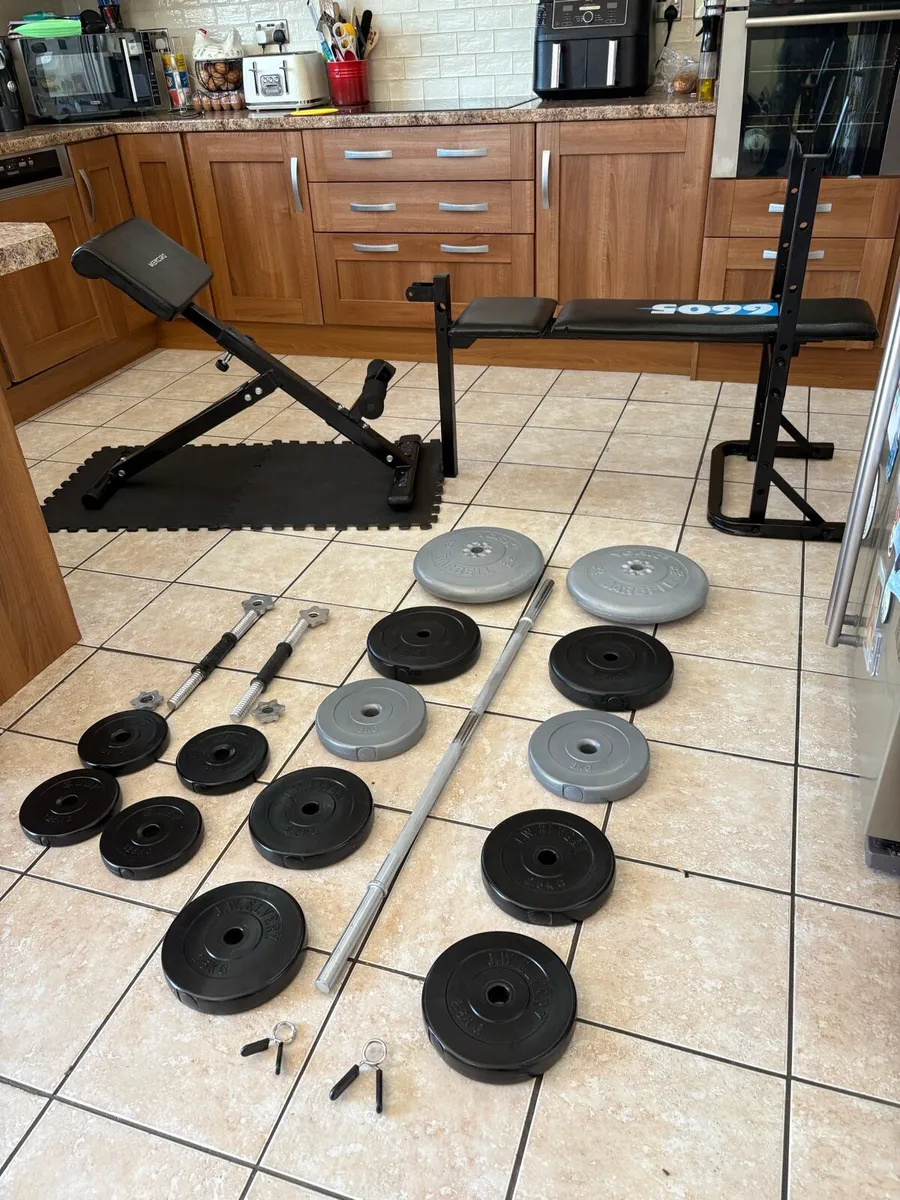 WEIGHT BENCH, BACK DEVELOPER BENCH, WEIGHTS SET!!! - Image 1