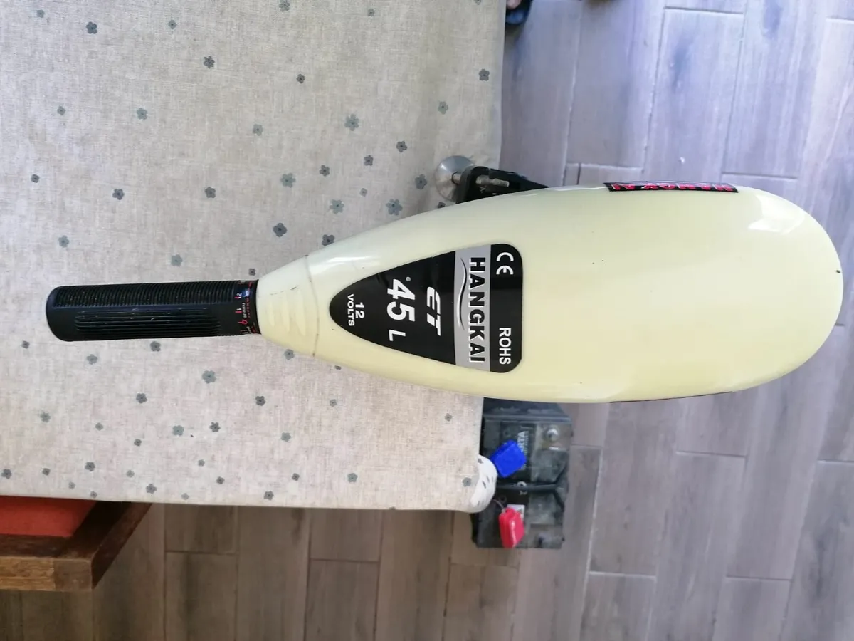 Electric outboard engine - Image 4