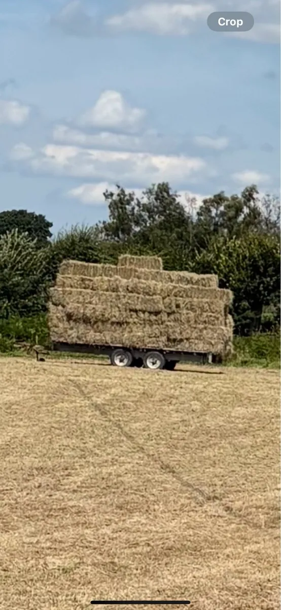 Square bales delivered .