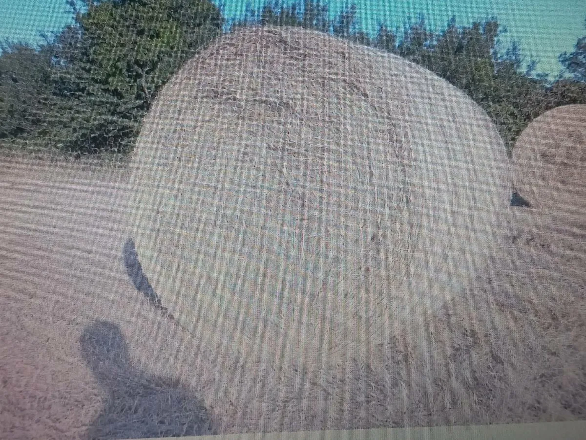 in conversion  organic hay