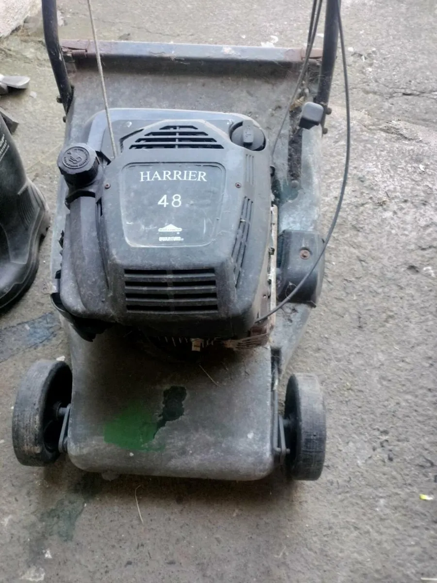 Lawnmower - Image 2