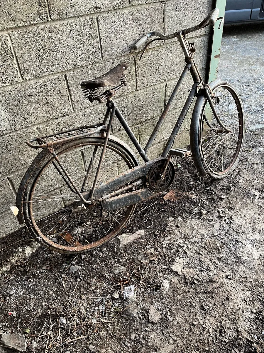 3 high nelly bicycles - Image 1