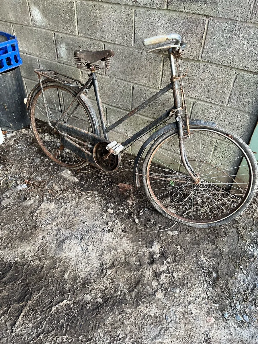 3 high nelly bicycles - Image 2