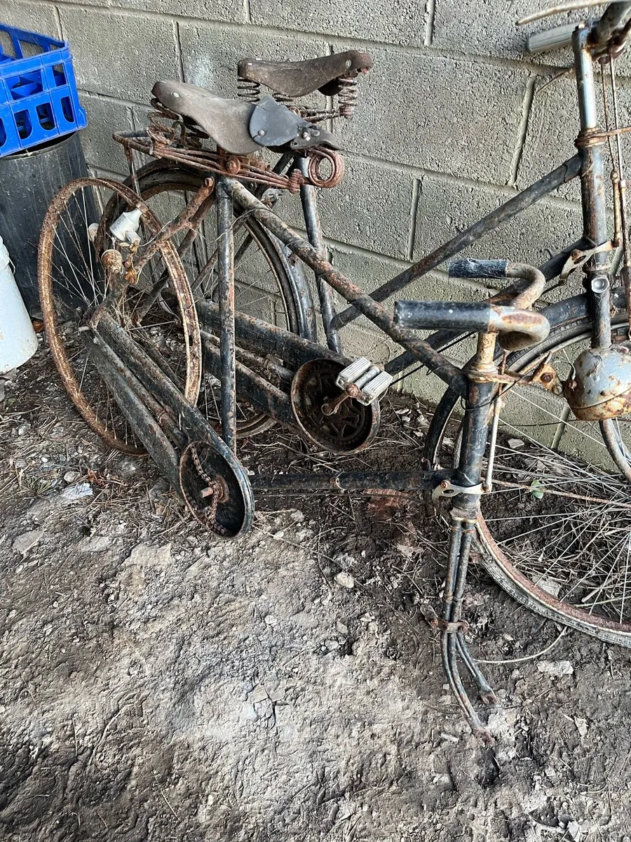 3 high nelly bicycles - Image 3