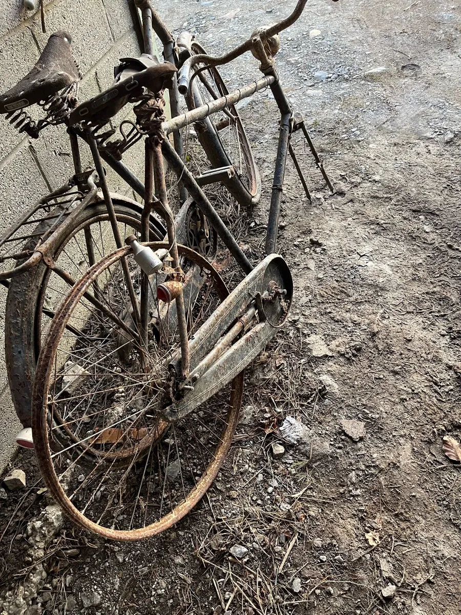 3 high nelly bicycles - Image 4