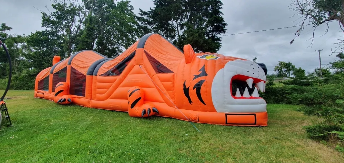 Bouncy castles - Image 4