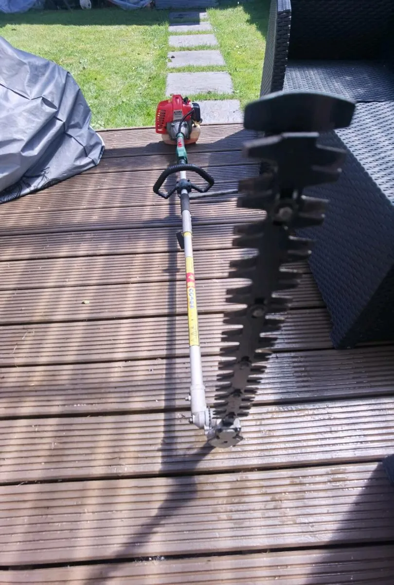 hedge trimmer long reach - Image 1