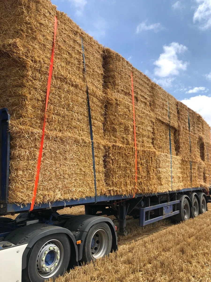 Top Quality barley straw in 8x4x4s for sale in Co. Down for £123 on ...