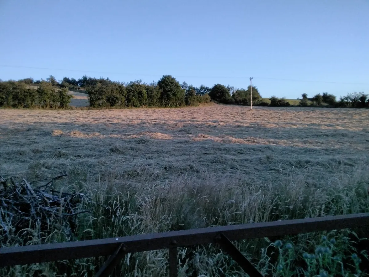 49 Hay Round Bales Wrapped