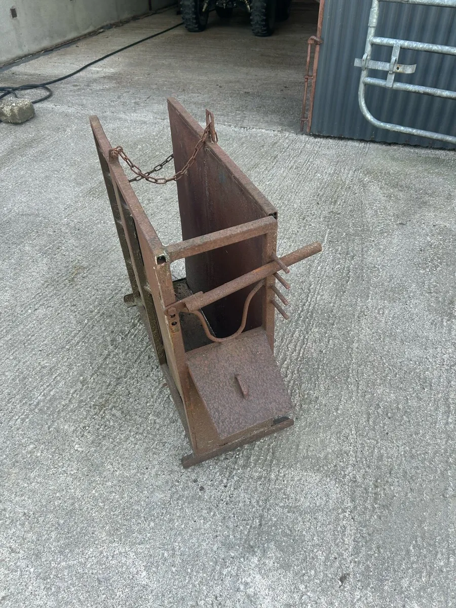 Calf Dehorning Crate - Image 1