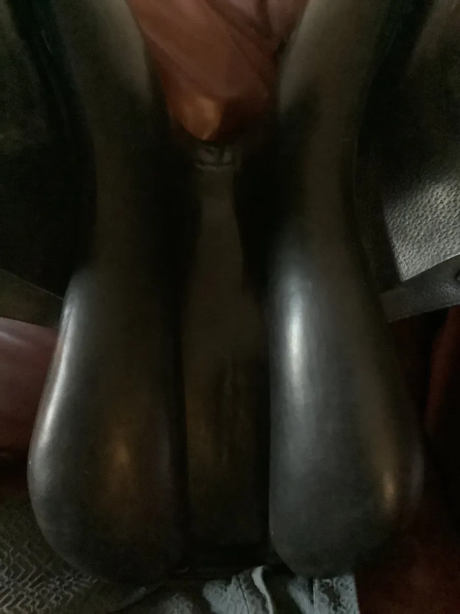 Amerigo 17”  vega jump saddle - Image 4