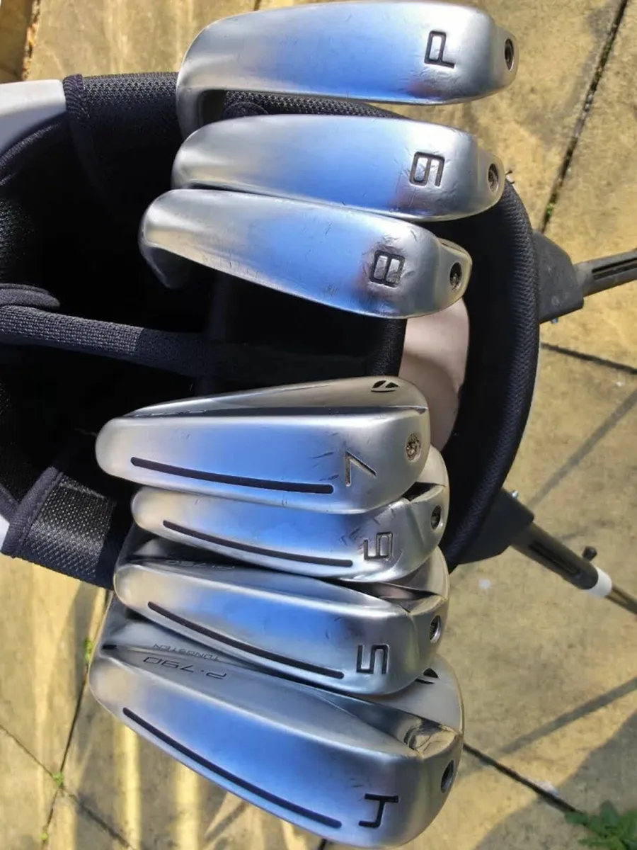 TaylorMade P790 Irons 4-PW - Image 1