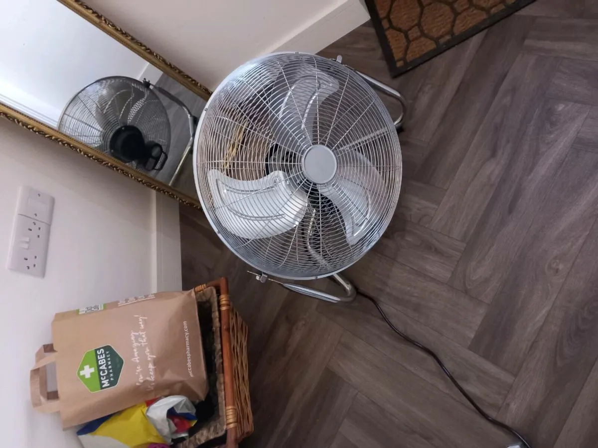 Fan - Image 2