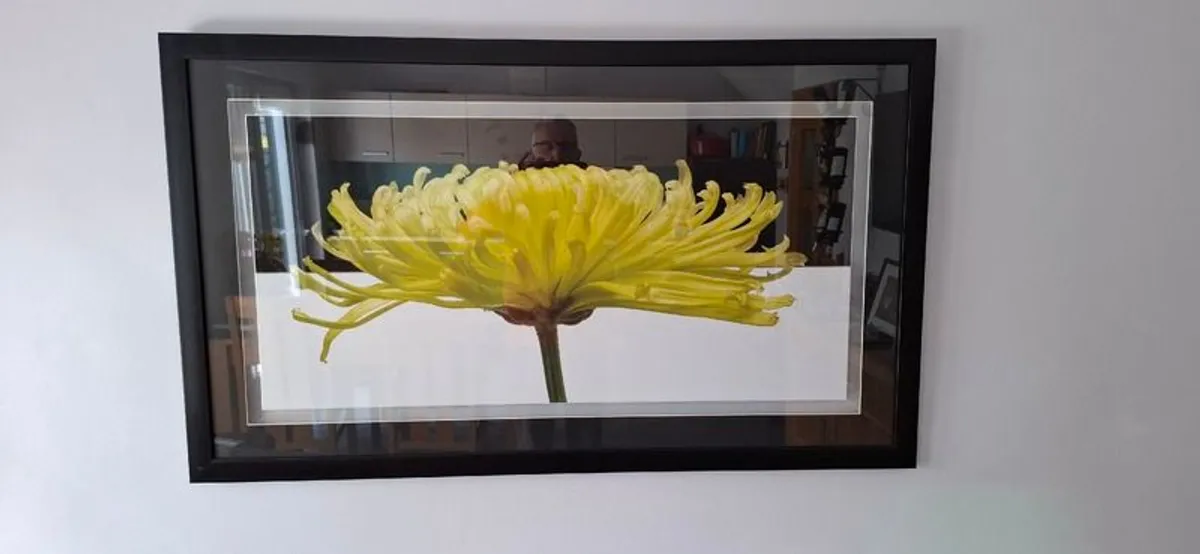 Picture - Image 2