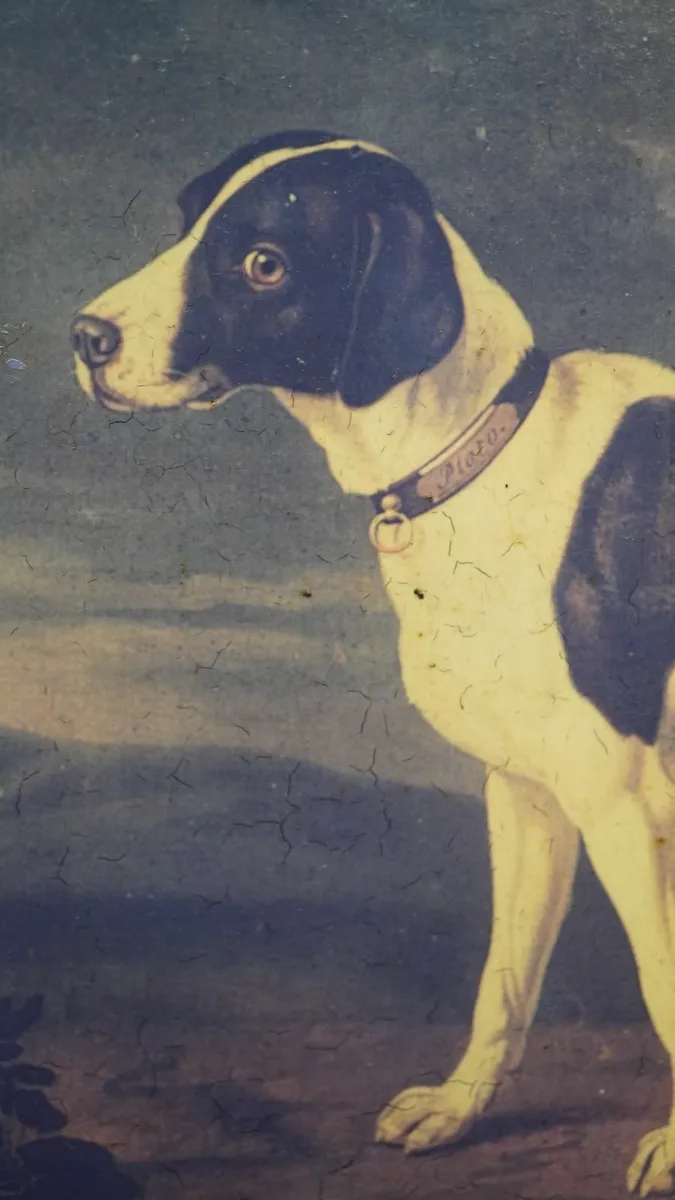 Vintage Print - Image 3