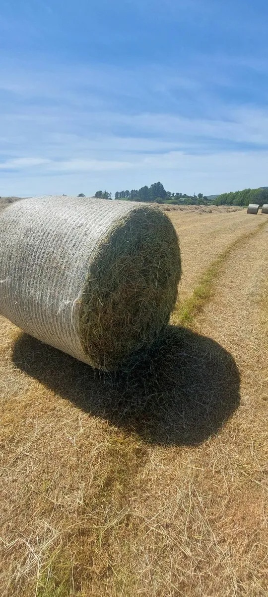Hay Bales