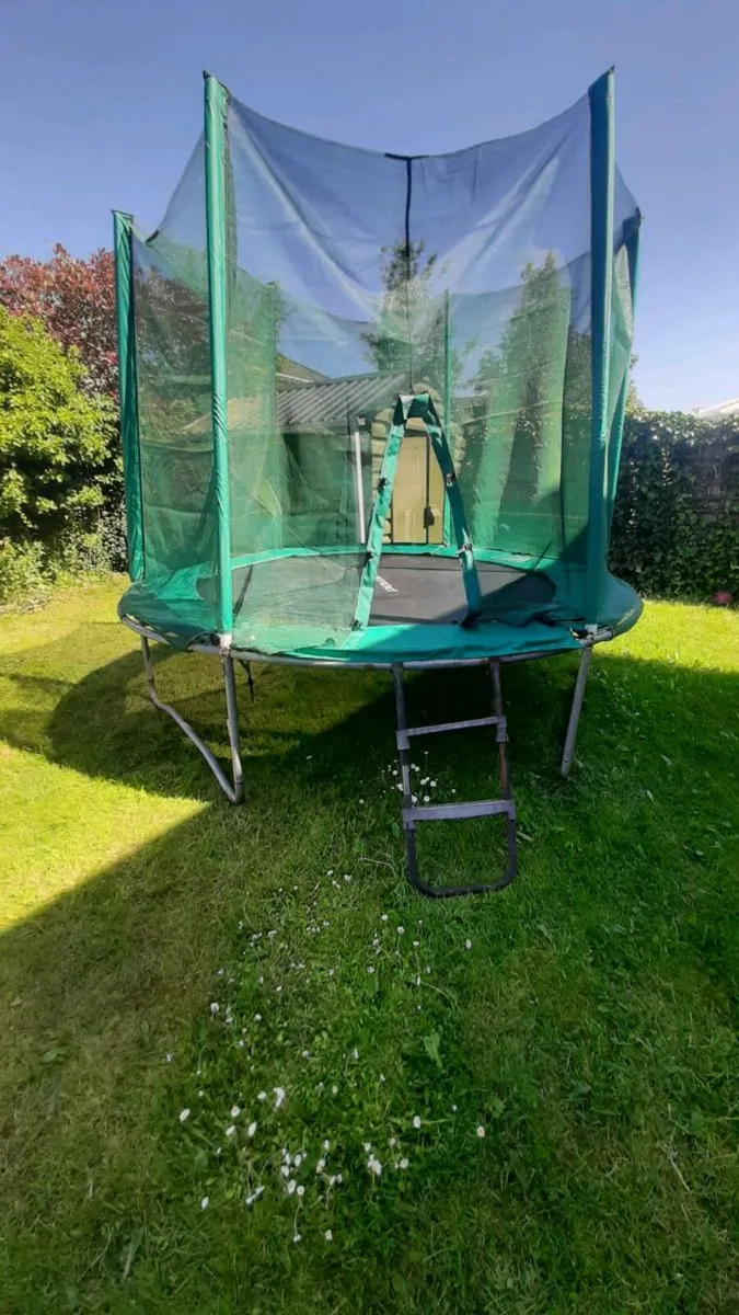 10 foot trampoline with ladder - Image 1