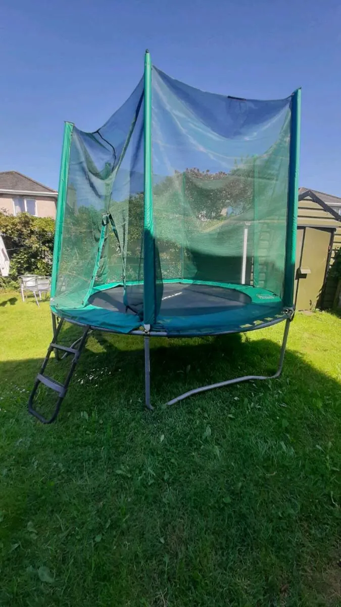 10 foot trampoline with ladder - Image 2