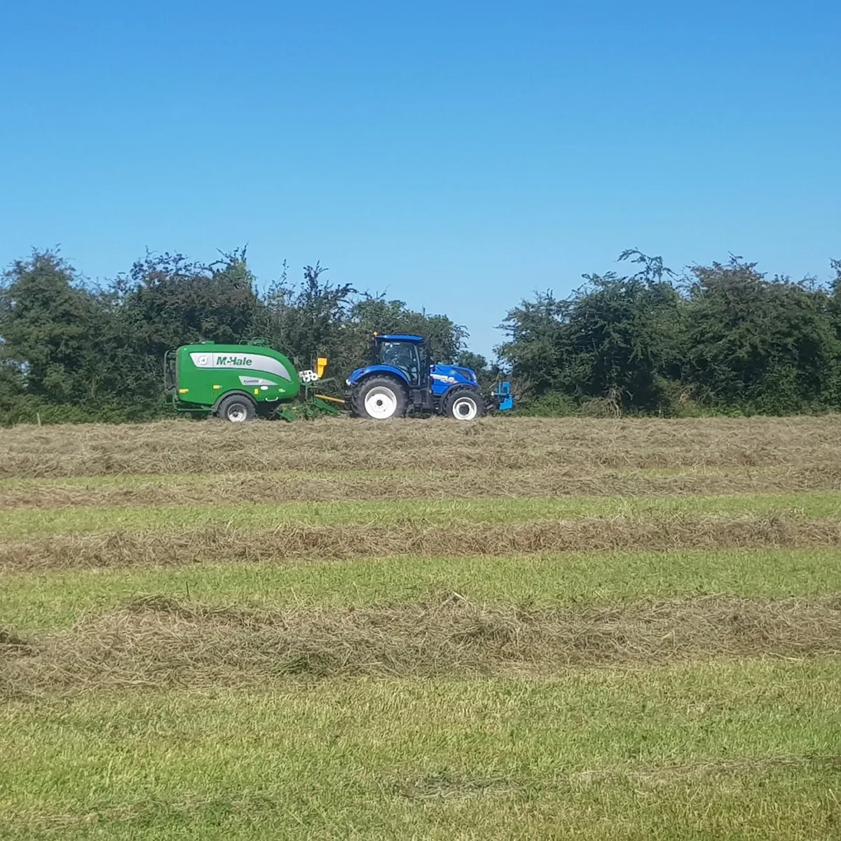 Certified Organic hay bales - Image 1