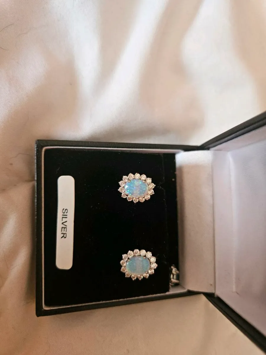 Silver earrings